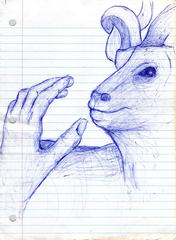 Emu