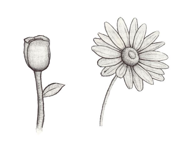 Misc Flowers Proof
