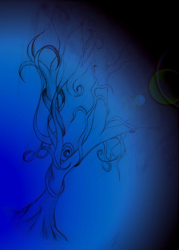 Where The Moon Falls
